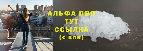 стаф Краснослободск