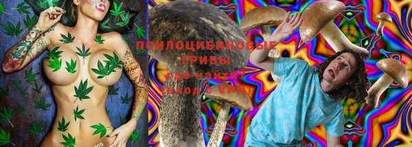 стаф Краснослободск
