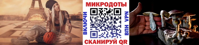 продажа наркотиков  Чегем  Псилоцибиновые грибы GOLDEN TEACHER 